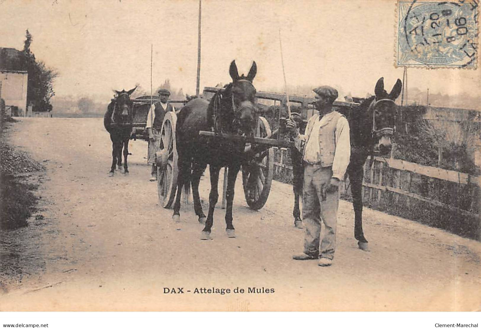 DAX - Attelage De Mules - Très Bon état - Dax