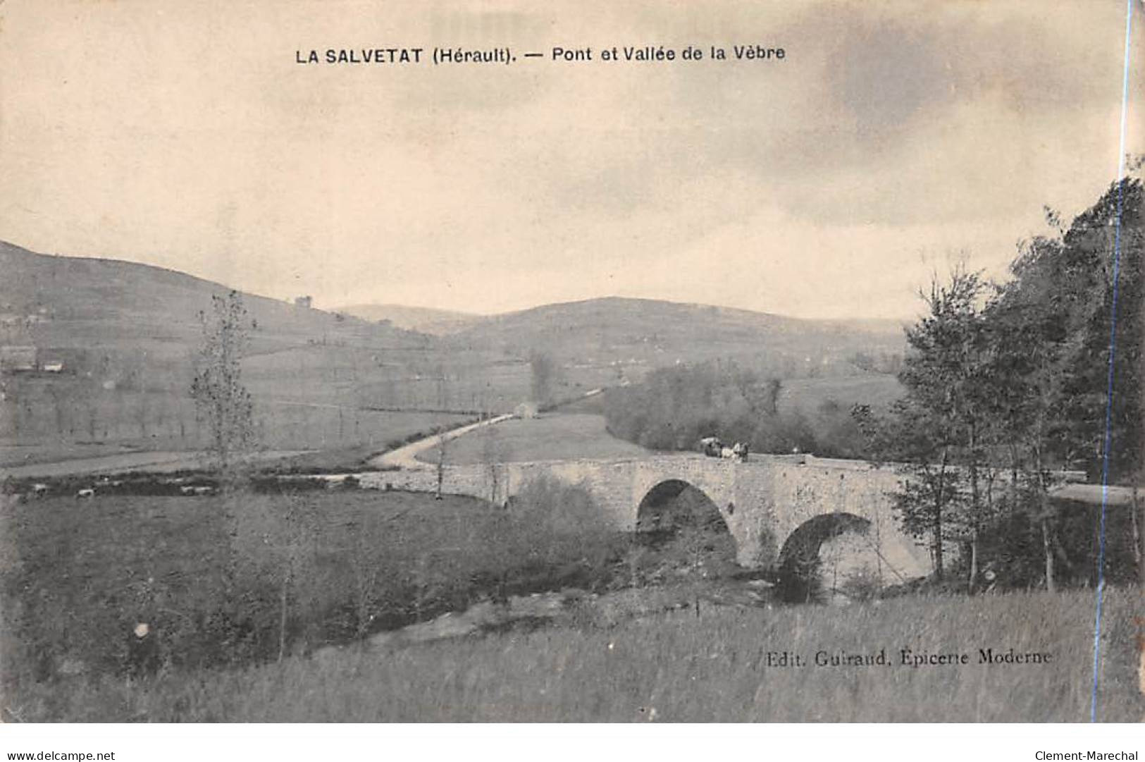 LA SALVETAT - Pont Et Vallée De La Vèbre - Très Bon état - La Salvetat