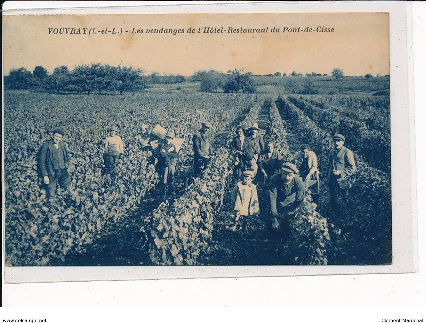 VOUVRAY : Les Vendanges De L'Hôtel-Restaurant Du Pont-de-Cisse - Très Bon état - Vouvray