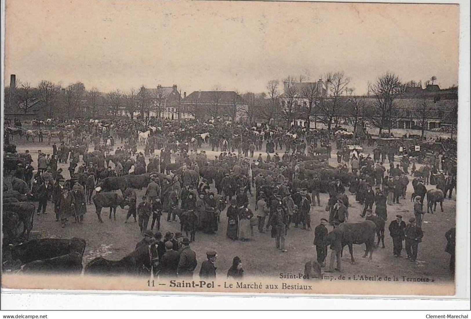 SAINT POL : Le Marché Aux Bestiaux - Très Bon état - Saint Pol Sur Ternoise