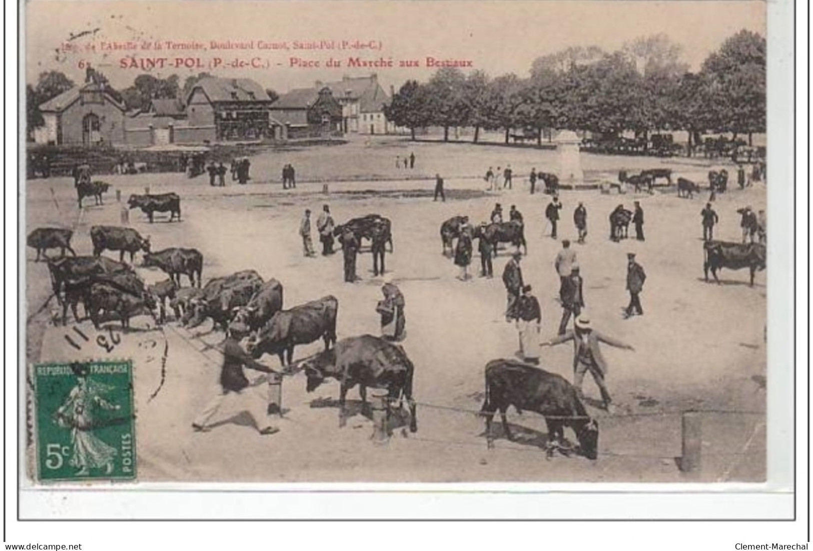 SAINT POL Le Marché Aux Bestiaux - Bon état (un Pli D'angle) - Saint Pol Sur Ternoise