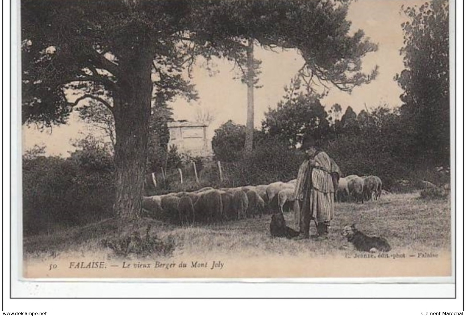 FALAISE : Le Vieux Berger Au Mont Joly  - Très Bon état - Falaise