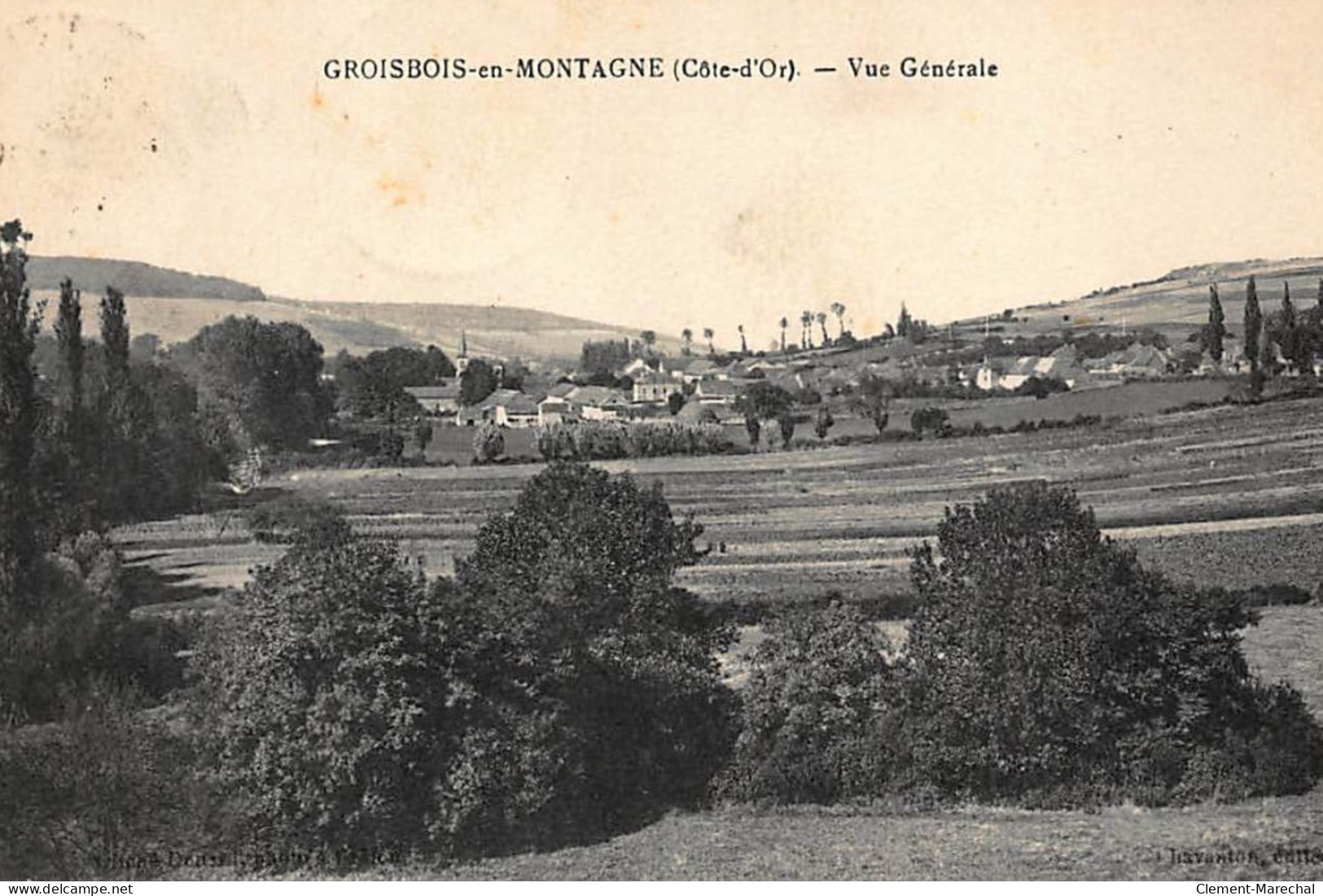 GROSBOIS-en-MONTAGNE : Vue Generale - Tres Bon Etat - Other & Unclassified