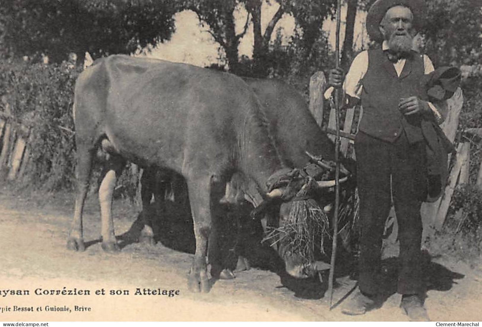 CORREZE : Paysan Corrézien Et Son Attelage - Tres Bon Etat - Other & Unclassified