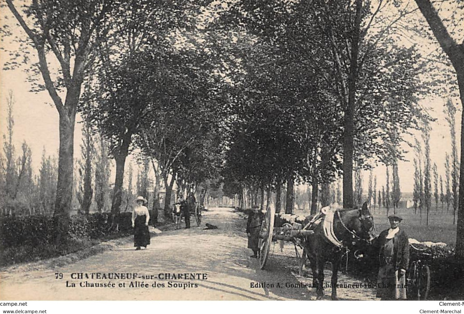 CHATEAUNEUF-sur-CHARENTE : La Chaussée Et Allée Des Soupirs - Tres Bon Etat - Chateauneuf Sur Charente