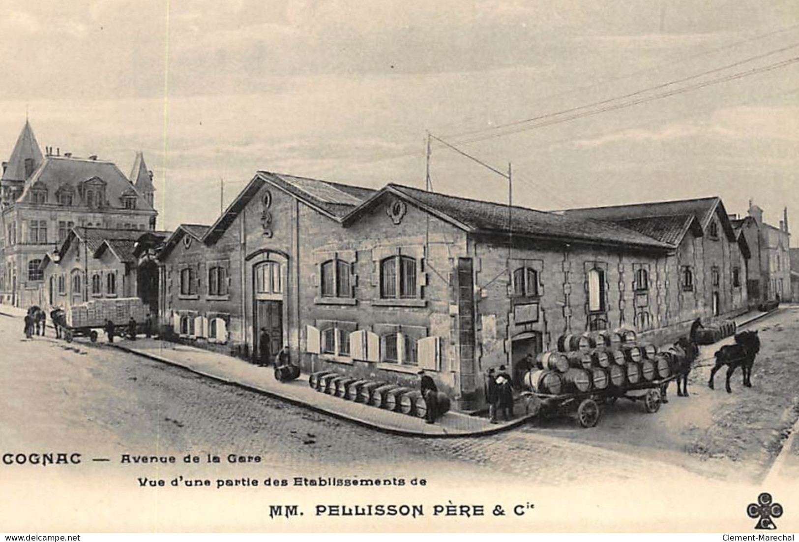 COGNAC : Avenue De La Gare Vue D'une Partie Des Etablissements De MM. Pellisson Pere - Tres Bon Etat - Cognac