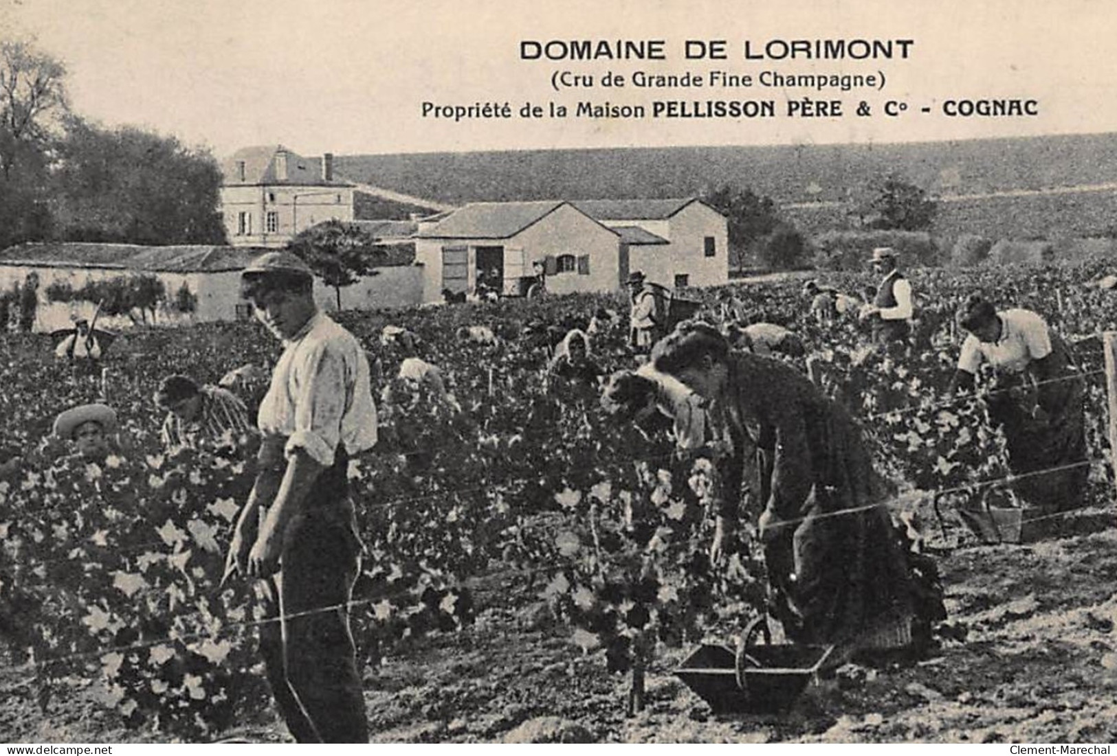 COGNAC : Domaine De Lorimont, Cru De Grande Fine Champagne, Maison Pellisson Pere - Tres Bon Etat - Autres & Non Classés
