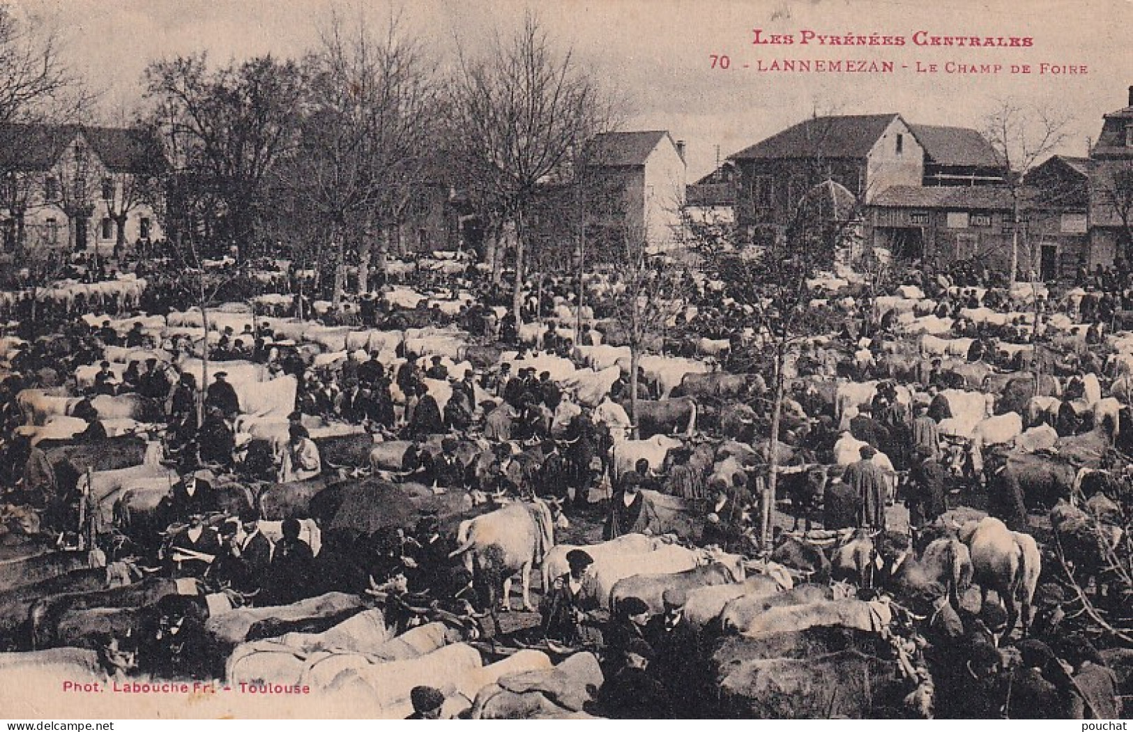 Z+ Nw-(65) LANNEMEZAN - LE CHAMP DE FOIRE - ANIMATION - MARCHE AUX BESTIAUX - Lannemezan