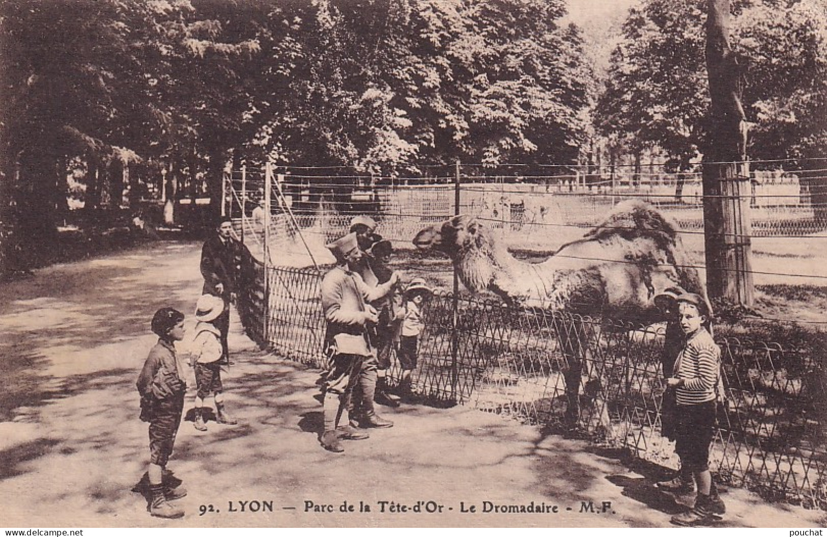 Z+ Nw-(69) LYON - PARC DE LA TETE D'OR - LE DROMADAIRE - ANIMATION - Lyon 6