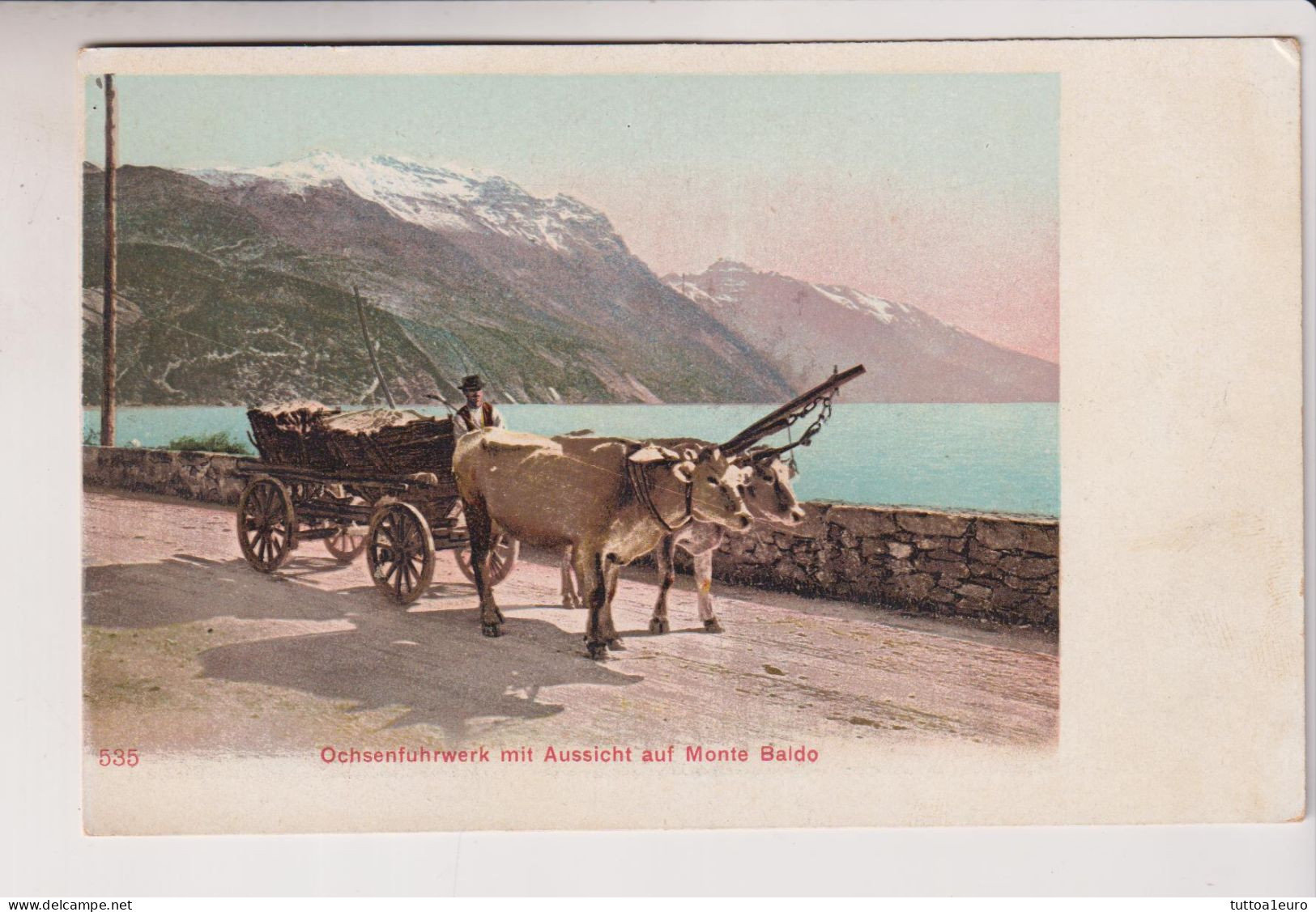 TRENTO   OCHSENFUHRWERK  MIT AUF MONTE BALDO  NO VG - Trento