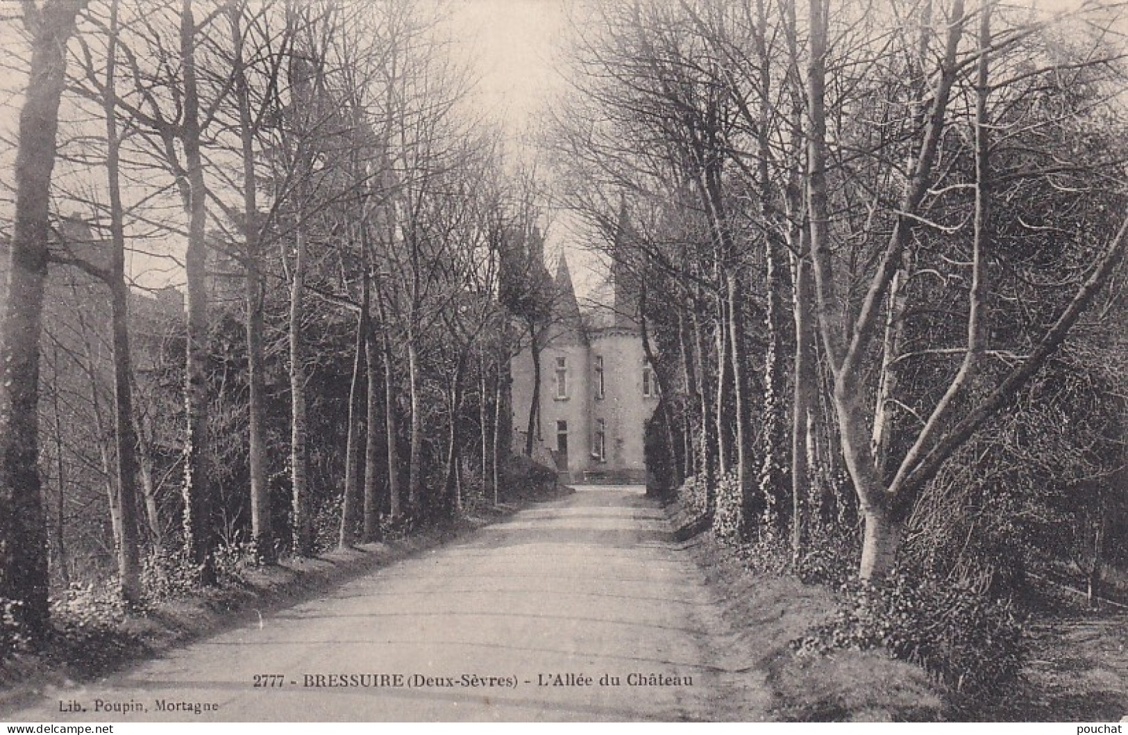 Z++ Nw-(79) BRESSUIRE - L'ALLEE DU CHATEAU - Bressuire