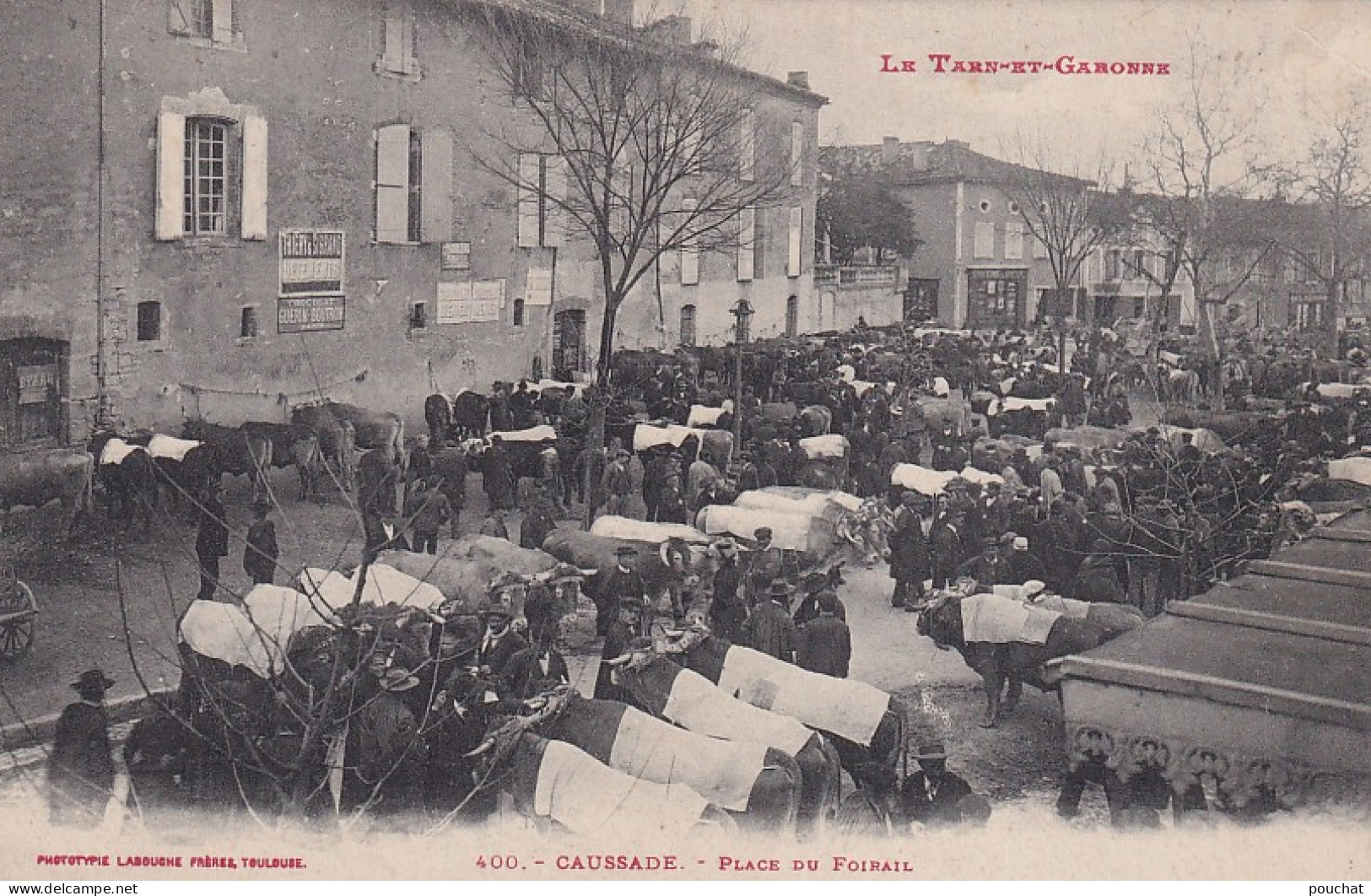 Z++ Nw-(82) CAUSSADE - PLACE DU FOIRAIL - ANIMATION - MARCHE AUX BESTIAUX - Caussade