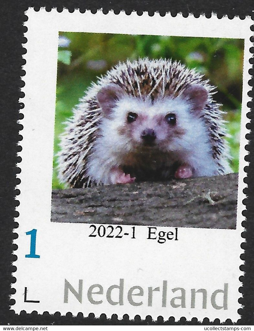 Nederland  2022-1  Egel  Egil Hedgehog Erizo Hérisson     Postfris/mnh/neuf - Unused Stamps