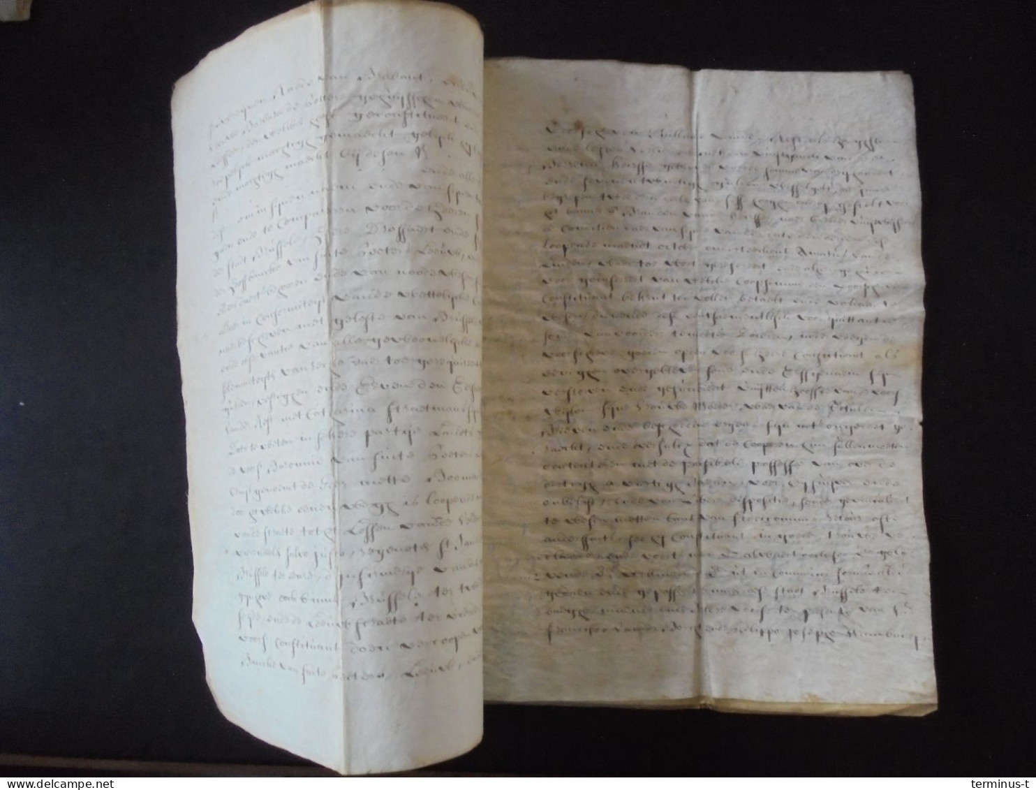 SINT-PIETERS-LEEUW. "Vercrijghbrief" Anno 1740 Op PERKAMENT - Manuscripten