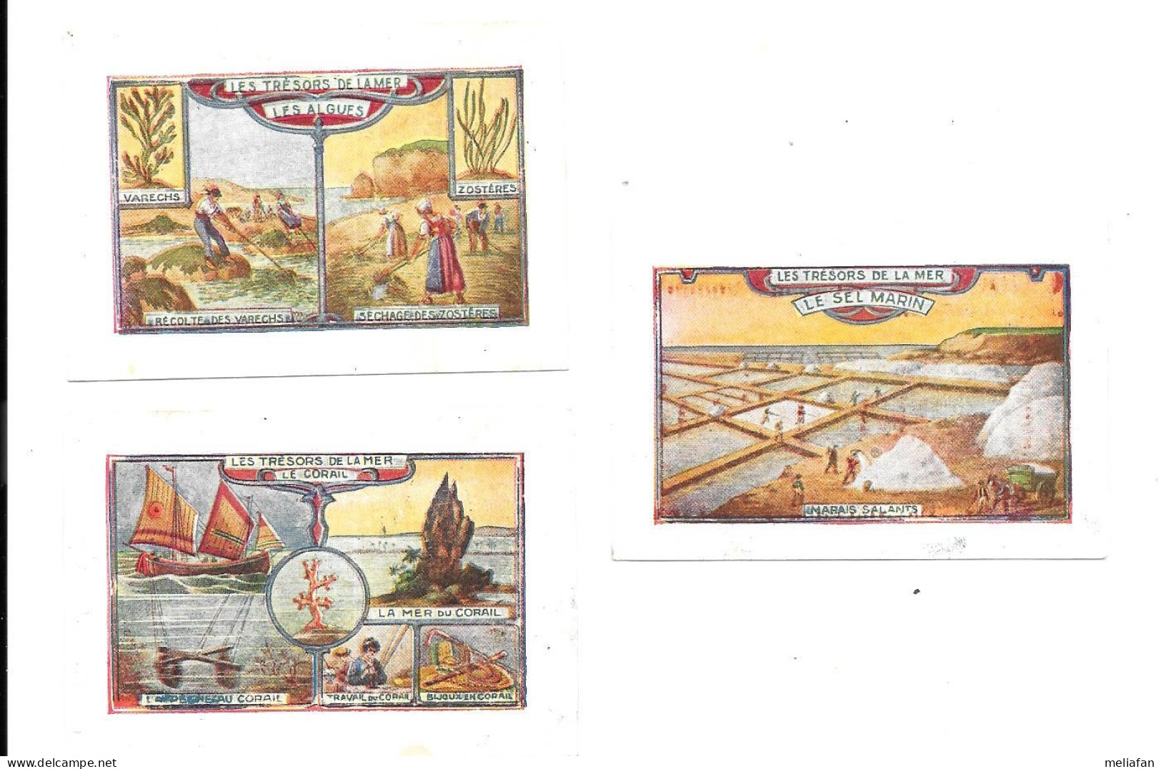 ED04 - VIGNETTES CHOCOLAT MARQUISAT LYON - TRESORS DE LA MER - CORAIL - SEL - MARAIS SALANTS - ALGUES - Sonstige & Ohne Zuordnung