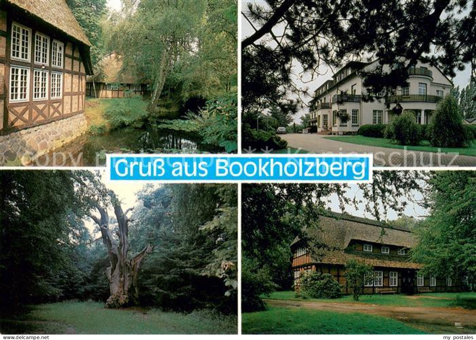 73670371 Bookholzberg Alte Gebaeude Hotel Natur Alter Baum Bookholzberg - Ganderkesee