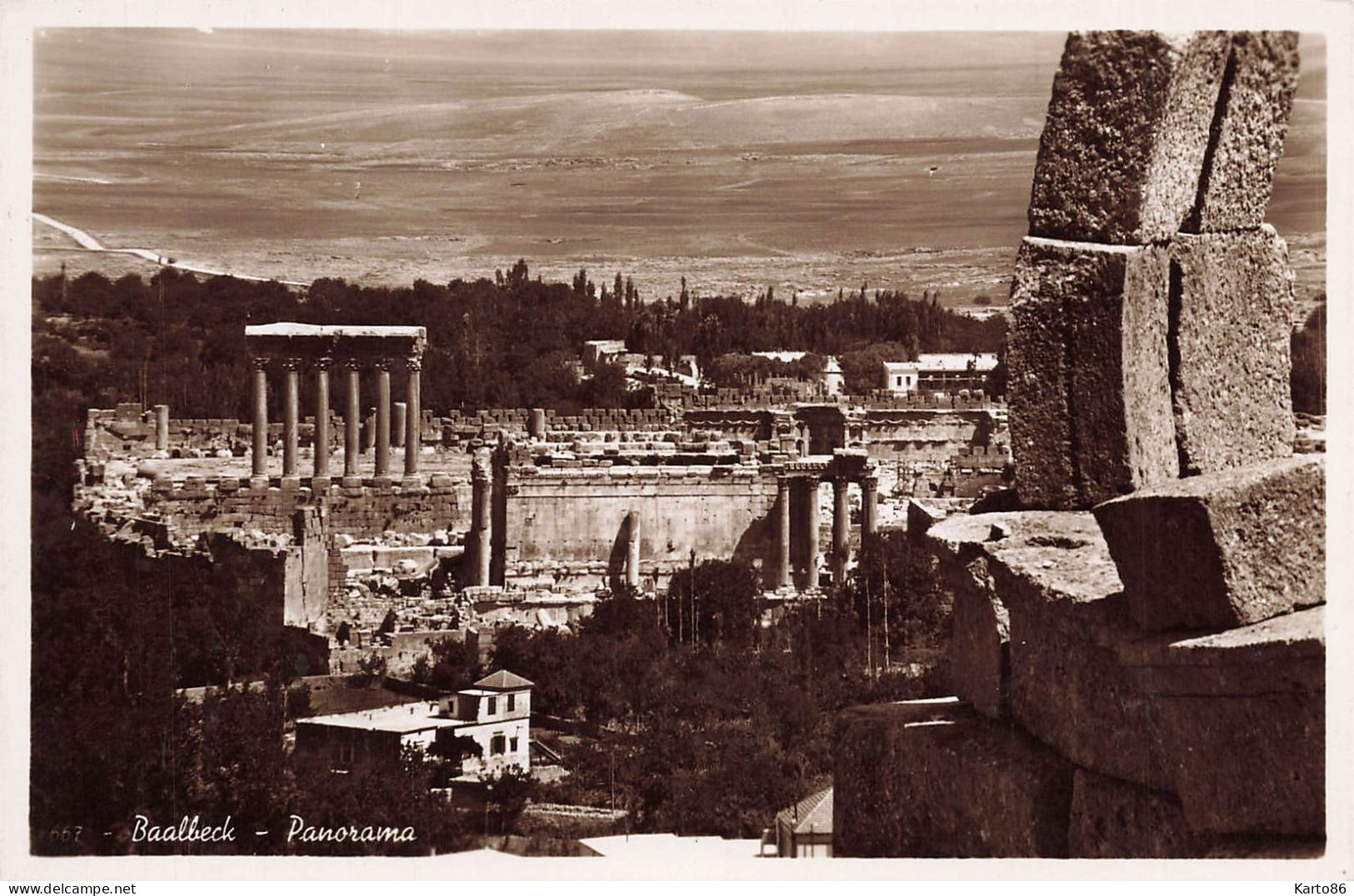 Baalbeck , Liban * Carte Photo * Panorama * Lebanon - Liban