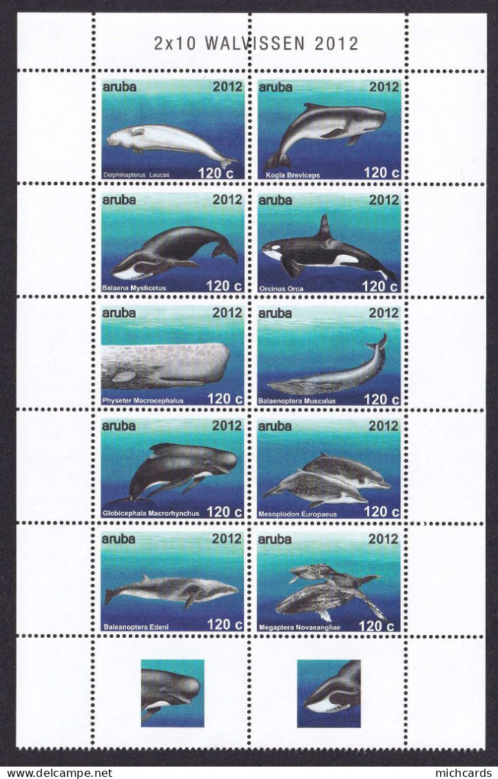 323 ARUBA 2012 - Y&T 629/38 Avec Vignette - Baleine Mammifere Marin - Neuf ** (MNH) Sans Charniere - Curaçao, Antilles Neérlandaises, Aruba