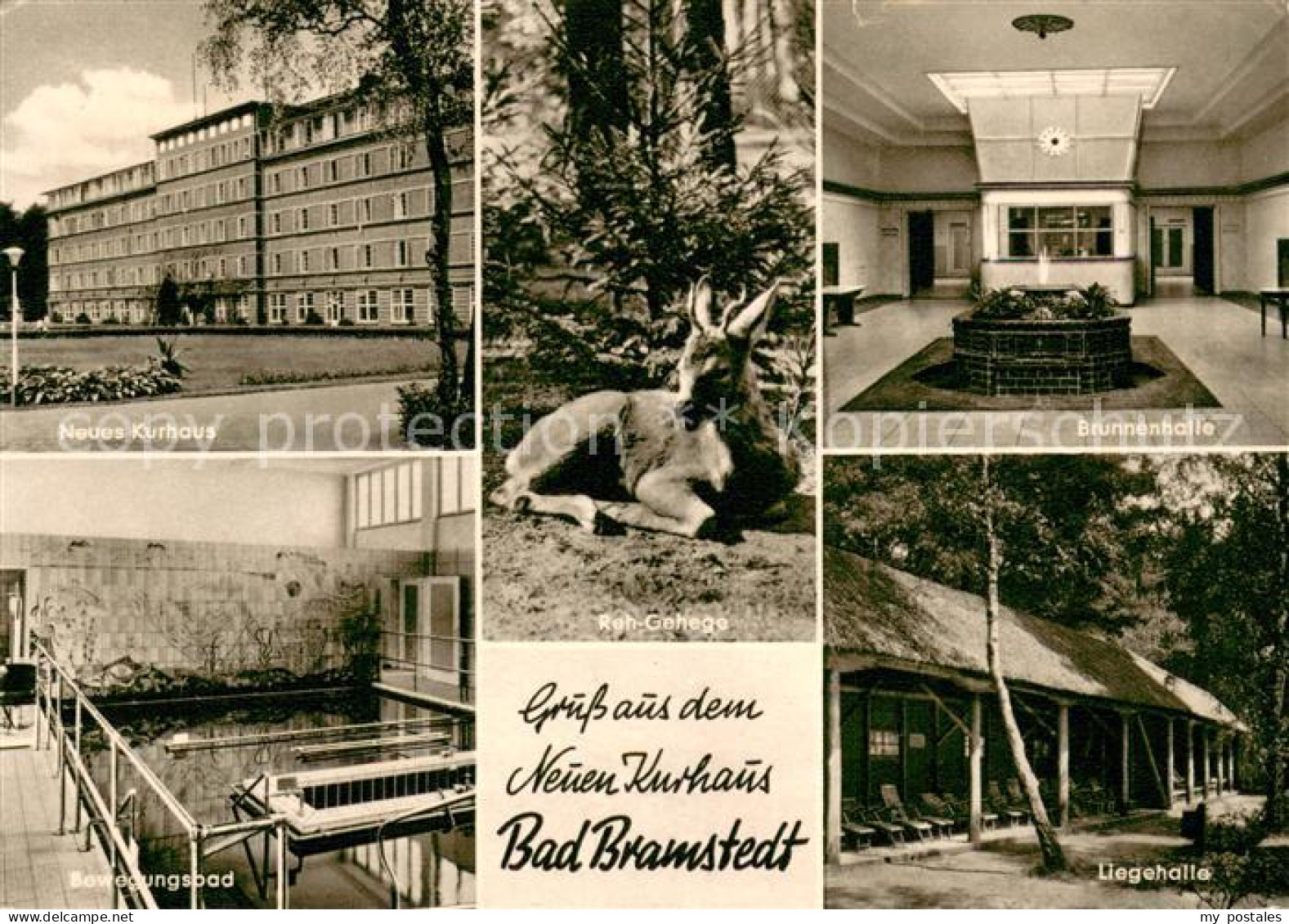 73669653 Bad Bramstedt Neues Kurhaus Bewegungsbad Brunnenhalle Liegehalle Reh Ge - Bad Bramstedt