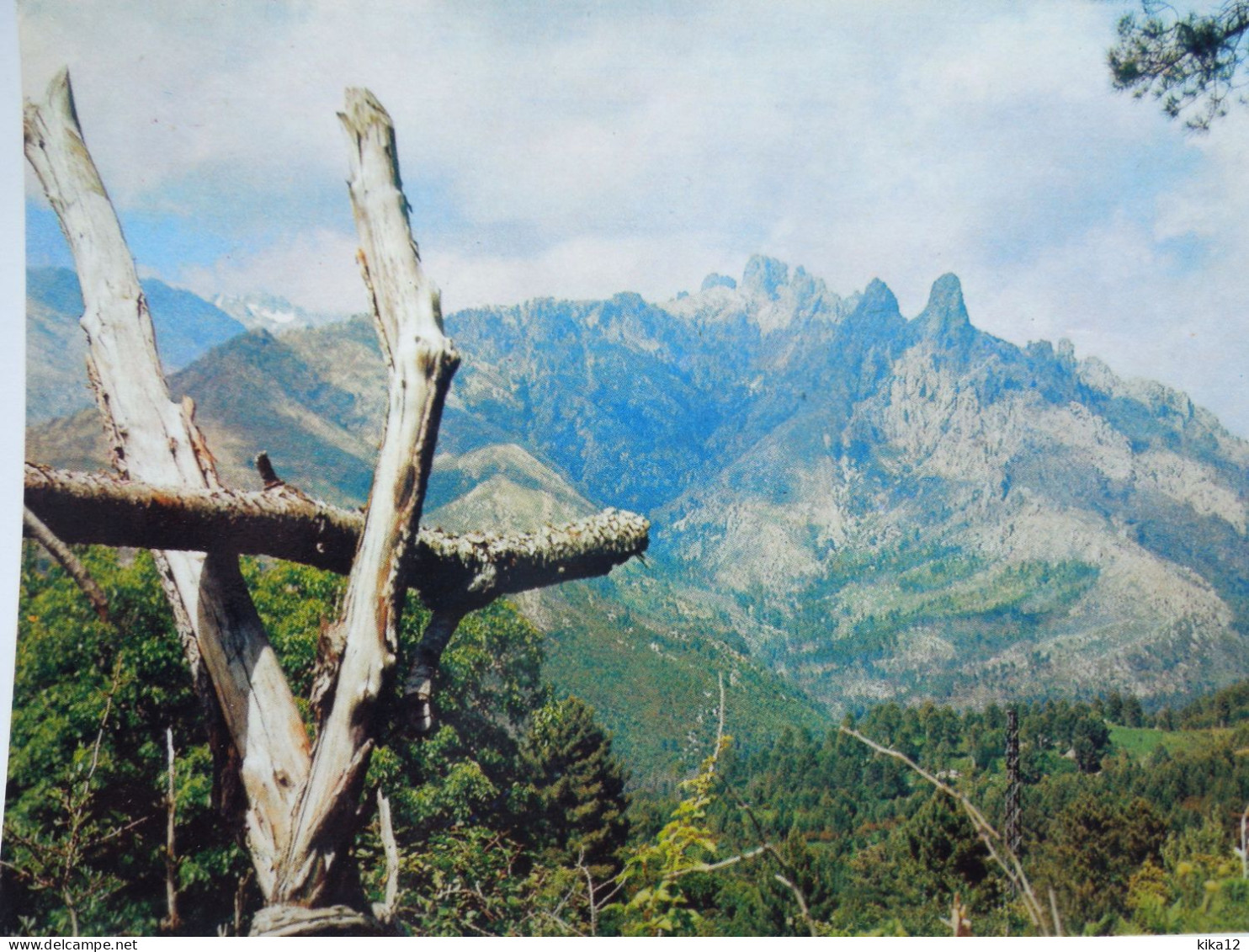 Corse    Aiguilles De Bavella       CP240238 - Autres & Non Classés