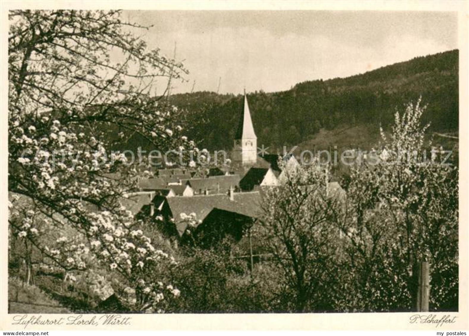 73669639 Lorch Wuerttemberg Ortsmotiv Mit Kirche Baumbluete Kupfertiefdruck Lorc - Lorch