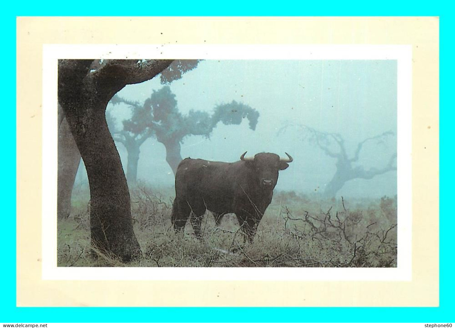 A856 / 305  Paisaje Salmantino Con Toro - Taureau - Andere & Zonder Classificatie