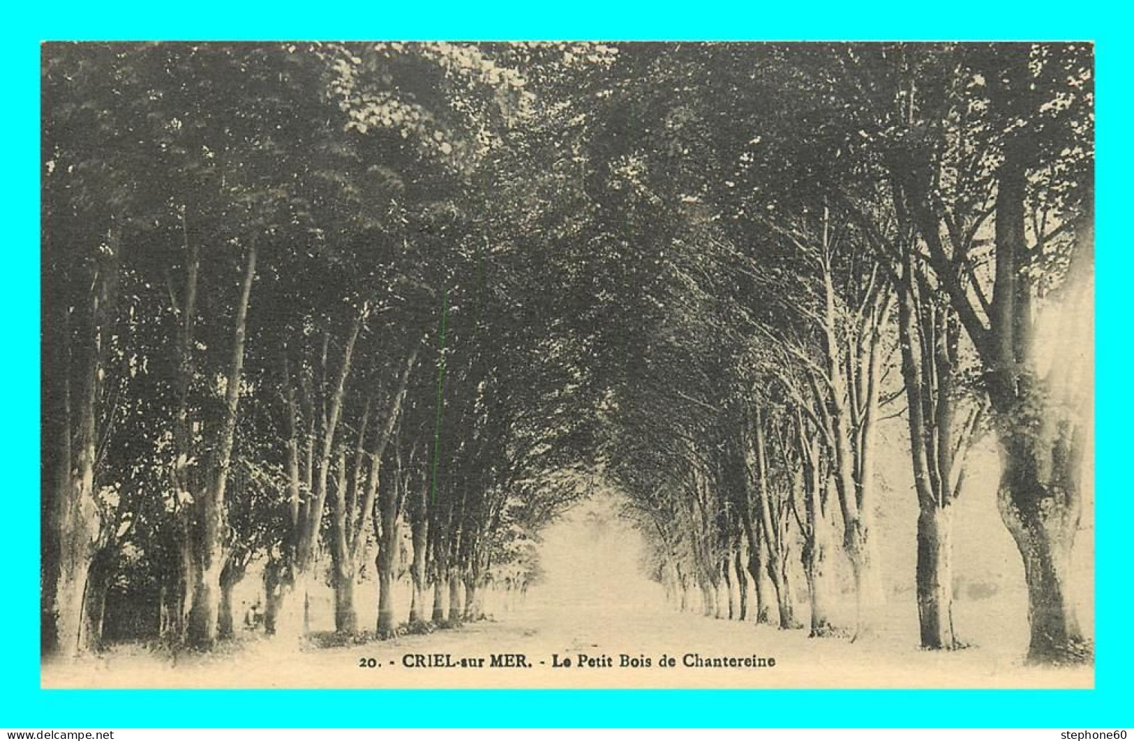 A851 / 407 76 - CRIEL SUR MER Le Petit Bois De Chantereine - Criel Sur Mer