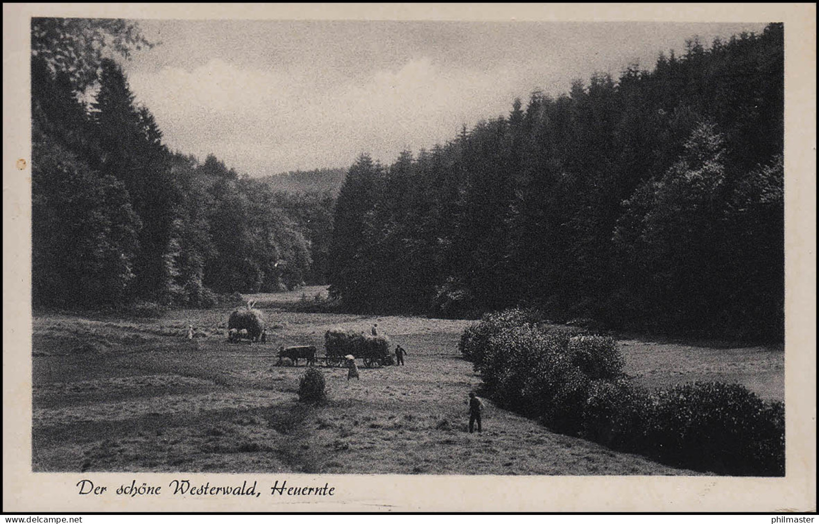 Landpost-Stempel 5231 Rettersen Auf AK Westerwald Heuernte, ALTENKIRCHEN Um 1961 - Andere & Zonder Classificatie