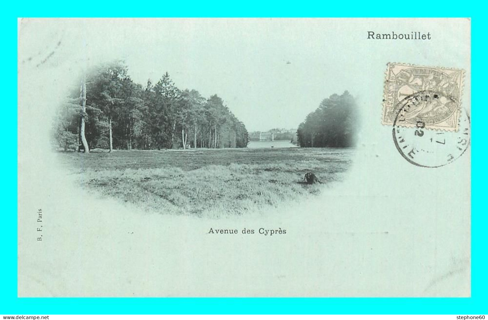 A843 / 065 78 - RAMBOUILLET Avenue Des Cypres - Rambouillet