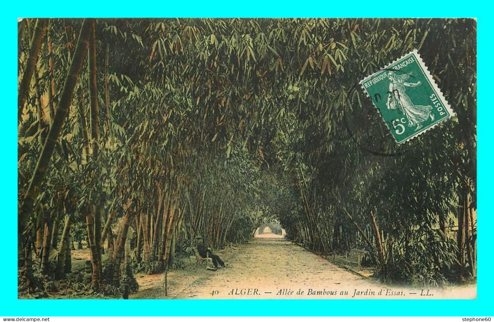 A842 / 547 Algérie ALGER Allée De Bambous Au Jardin D'essai - Algerien