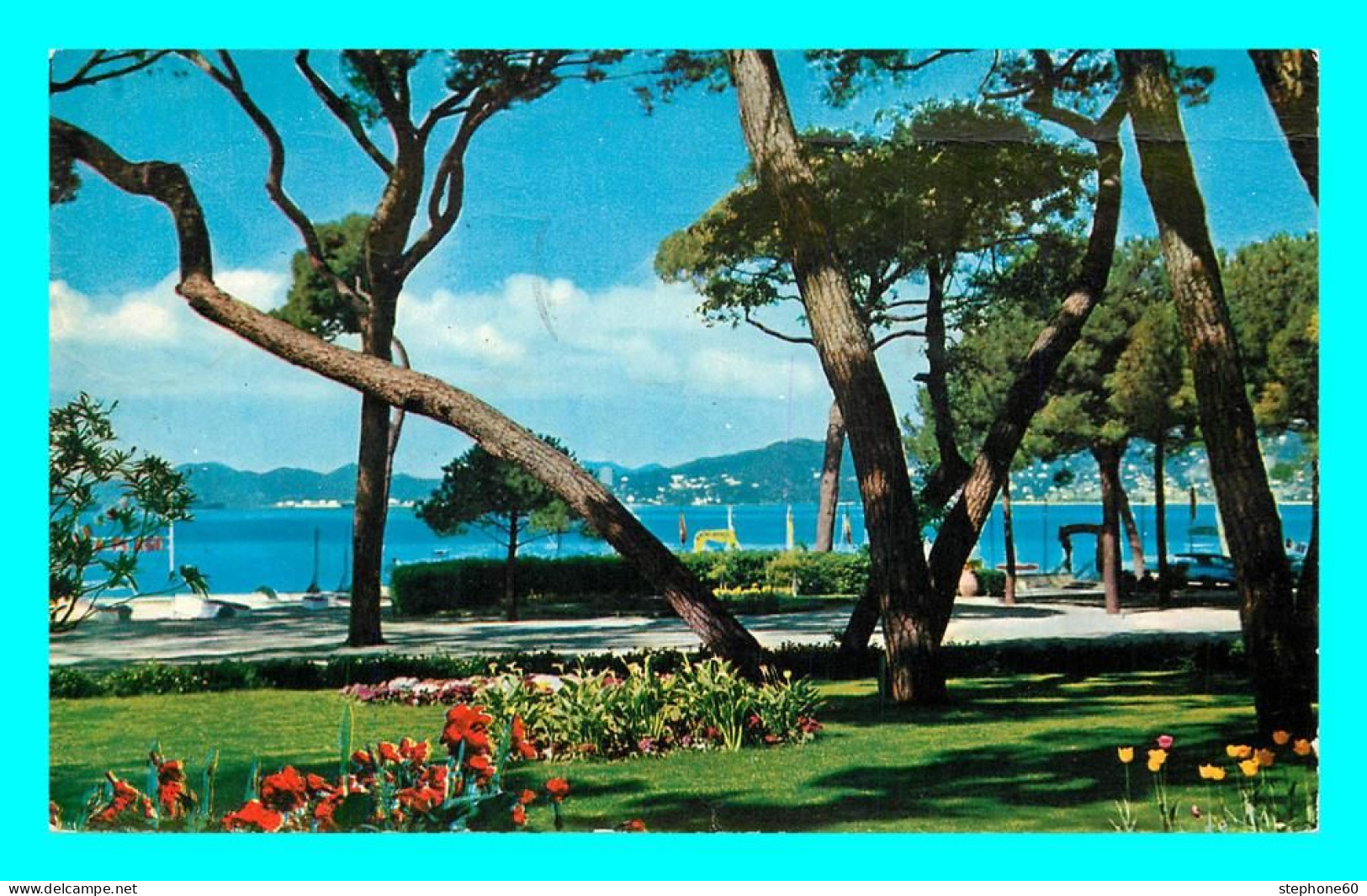 A871 / 239 06 - JUAN LES PINS La Pinede - Juan-les-Pins