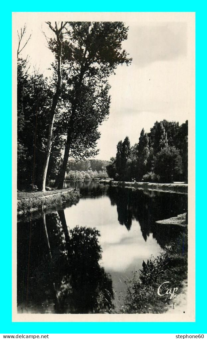 A864 / 577 89 - AUXERRE L'Abre Sec Et Le Canal - Auxerre