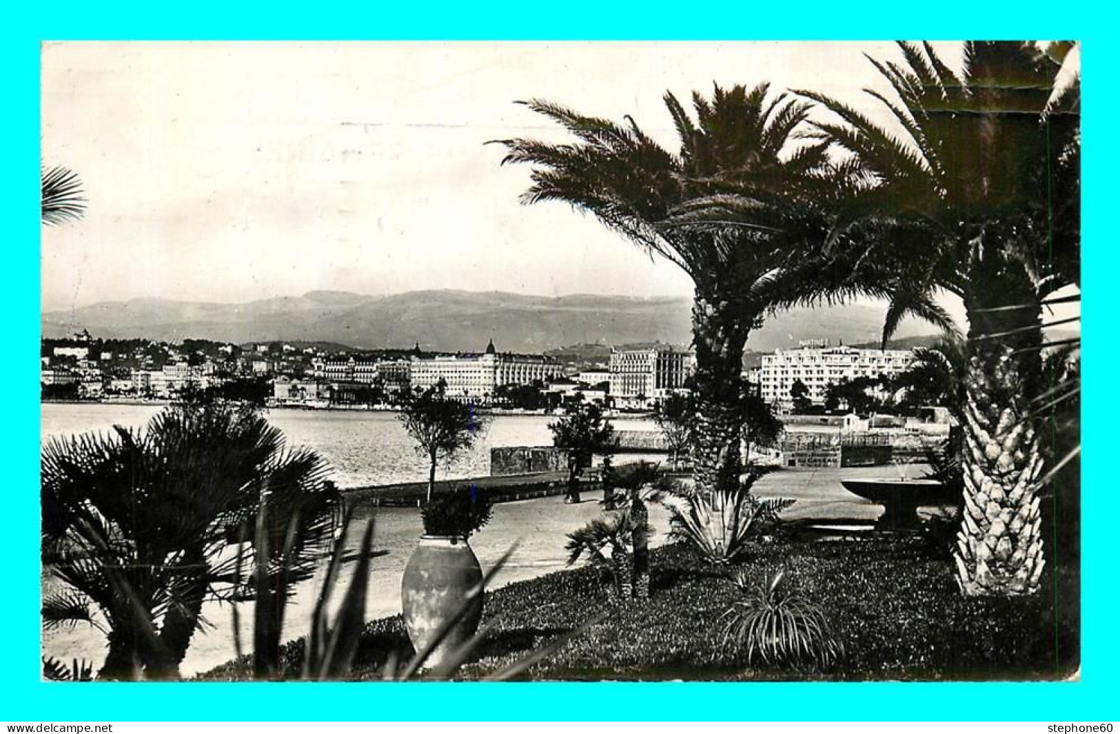 A864 / 065 06 - CANNES Vue A Travers Les Palmiers - Cannes