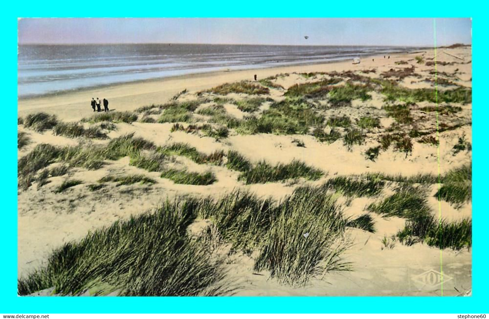 A864 / 025  Cotes De La Mer Du Nord Les Dunes - Sonstige & Ohne Zuordnung