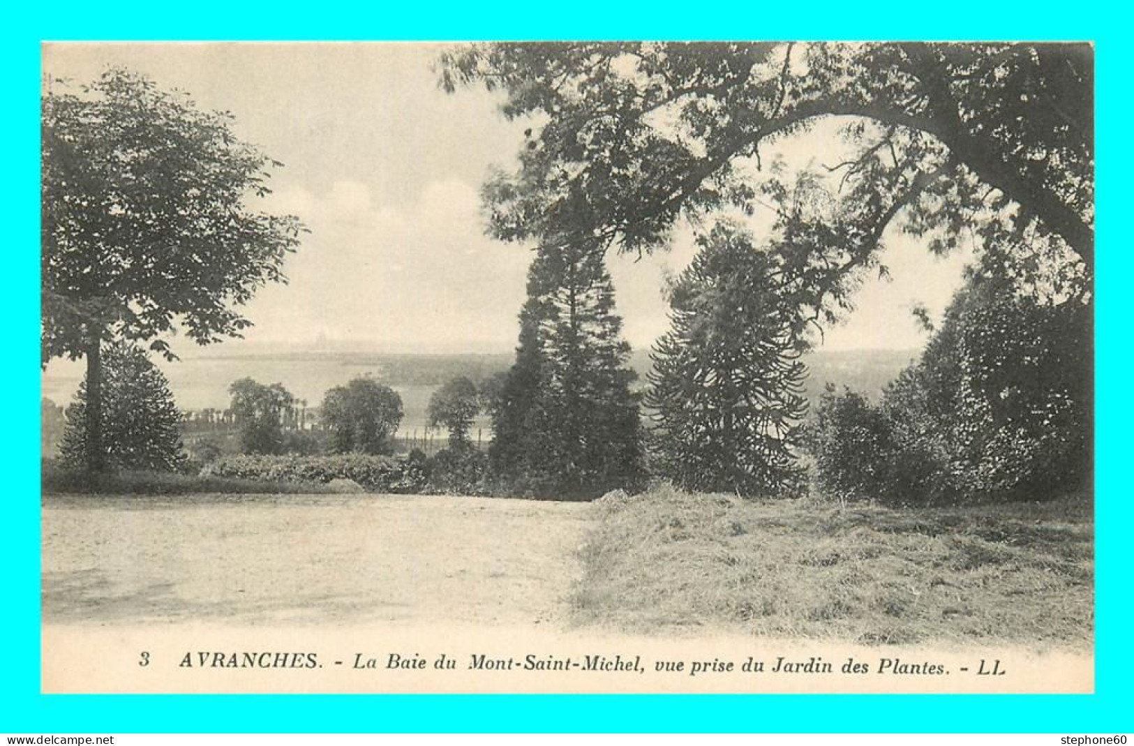 A862 / 231 50 - AVRANCHES Baie Du Mont Saint Michel Vue Prise Du Jardin Des Plantes - Avranches