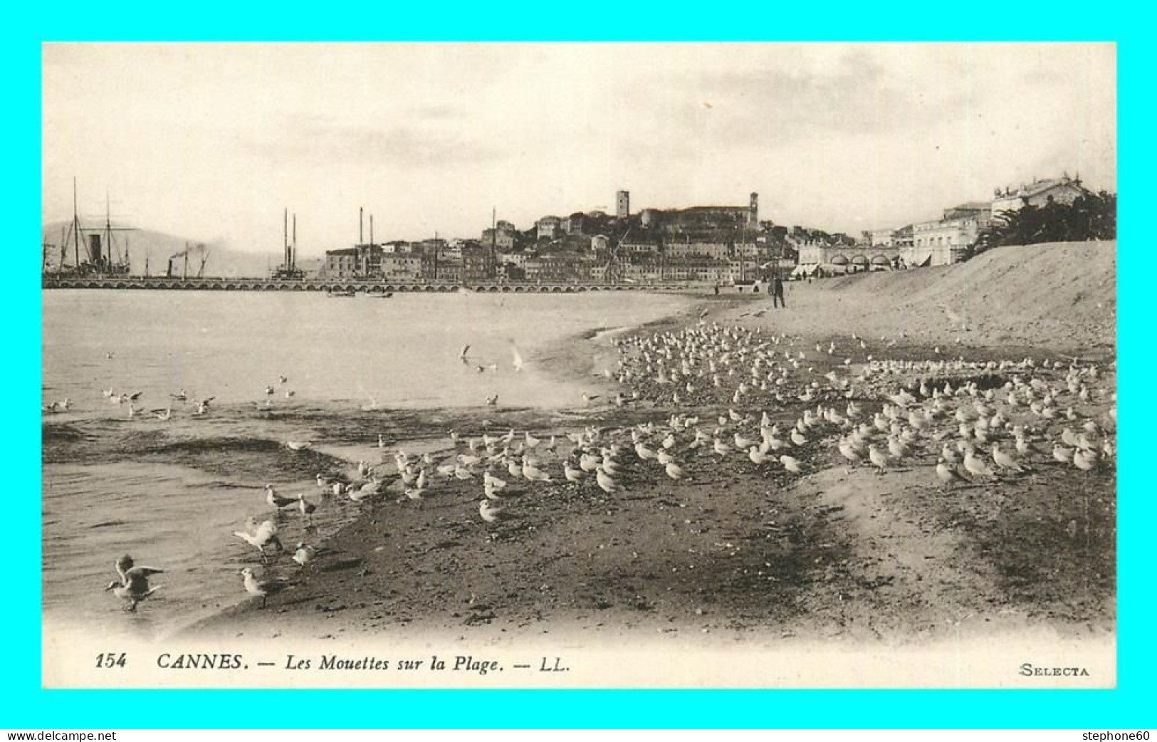 A860 / 269 06 - CANNES Mouettes Sur La Plage - Cannes