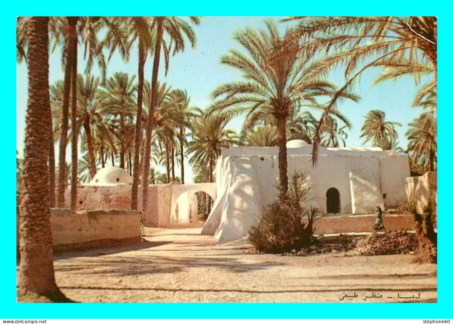 A857 / 475 Libye TRIPOLI Oasis Typical View - Libya