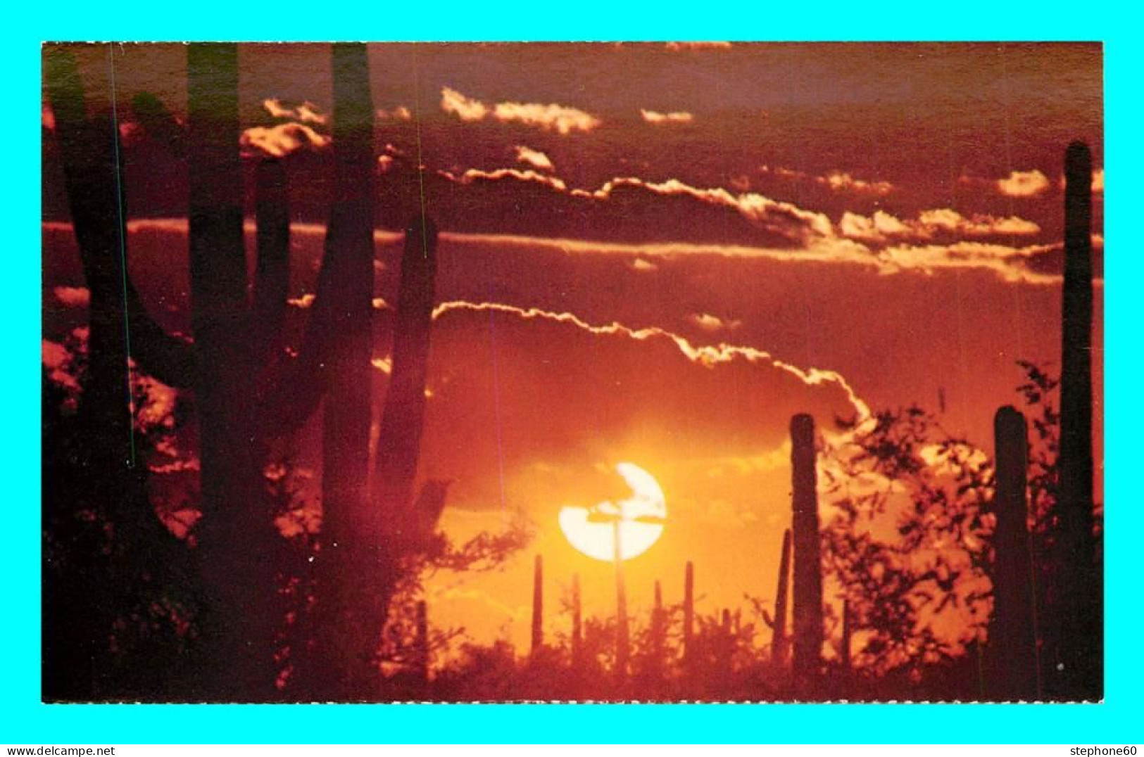 A857 / 155 ARIZONA Sundown Of The Desert - Cactus - Altri & Non Classificati