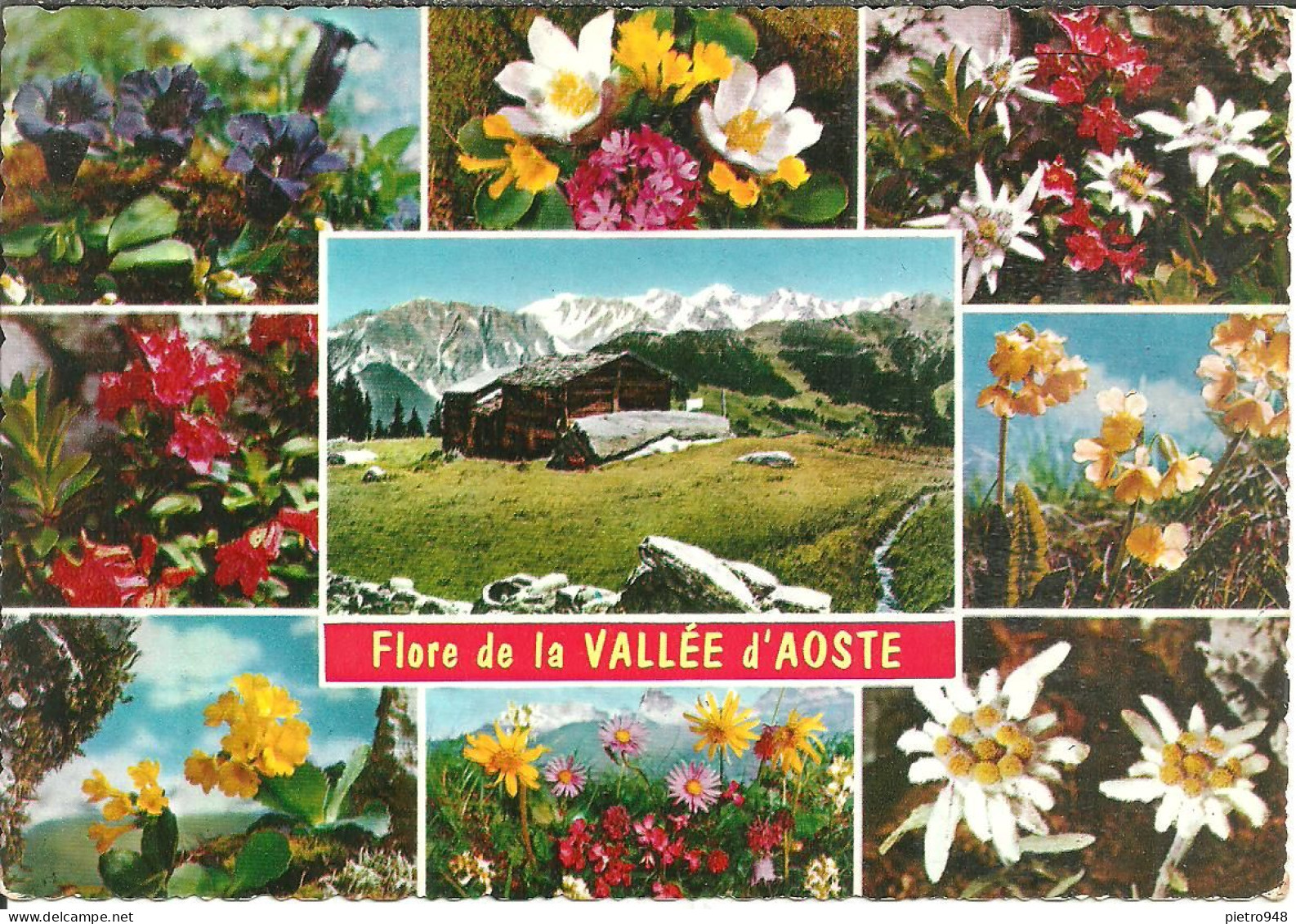Valle D'Aosta, Vallée D'Aoste, Vedute: Baite E Flora Alpina - Aosta