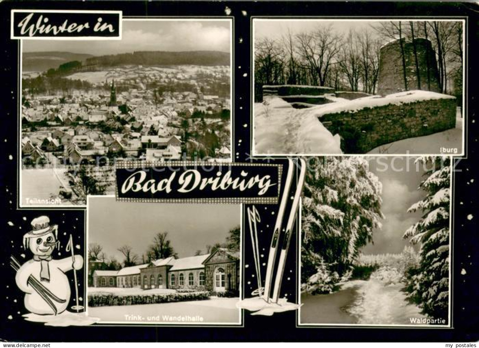 73669032 Bad Driburg Winterpanorama Iburg Trink Und Wandelhalle Waldpartie Bad D - Bad Driburg