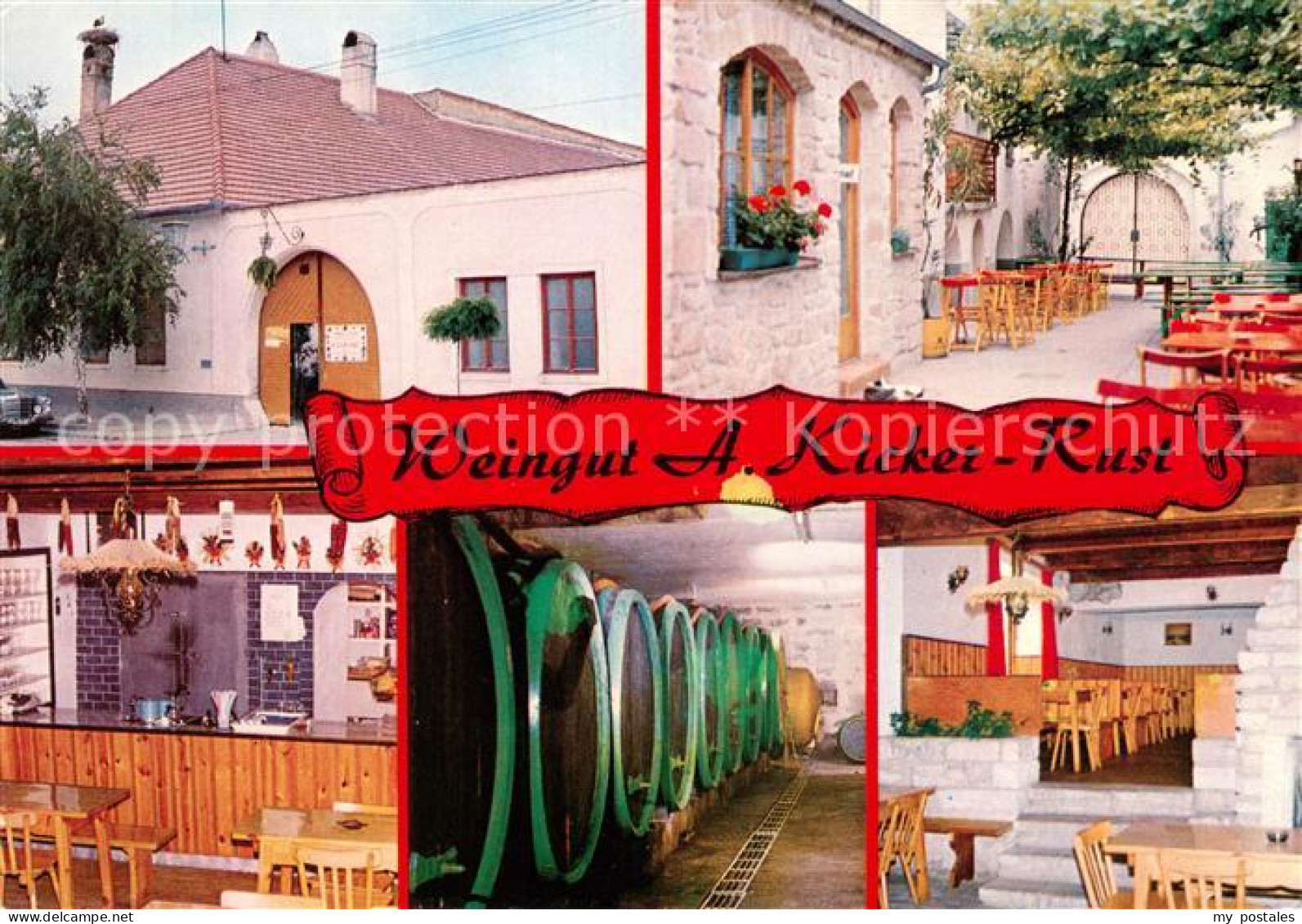 73668778 Rust Burgenland Weingut Alfred Kicker Gastraeume Weinkeller Terrasse Ru - Sonstige & Ohne Zuordnung