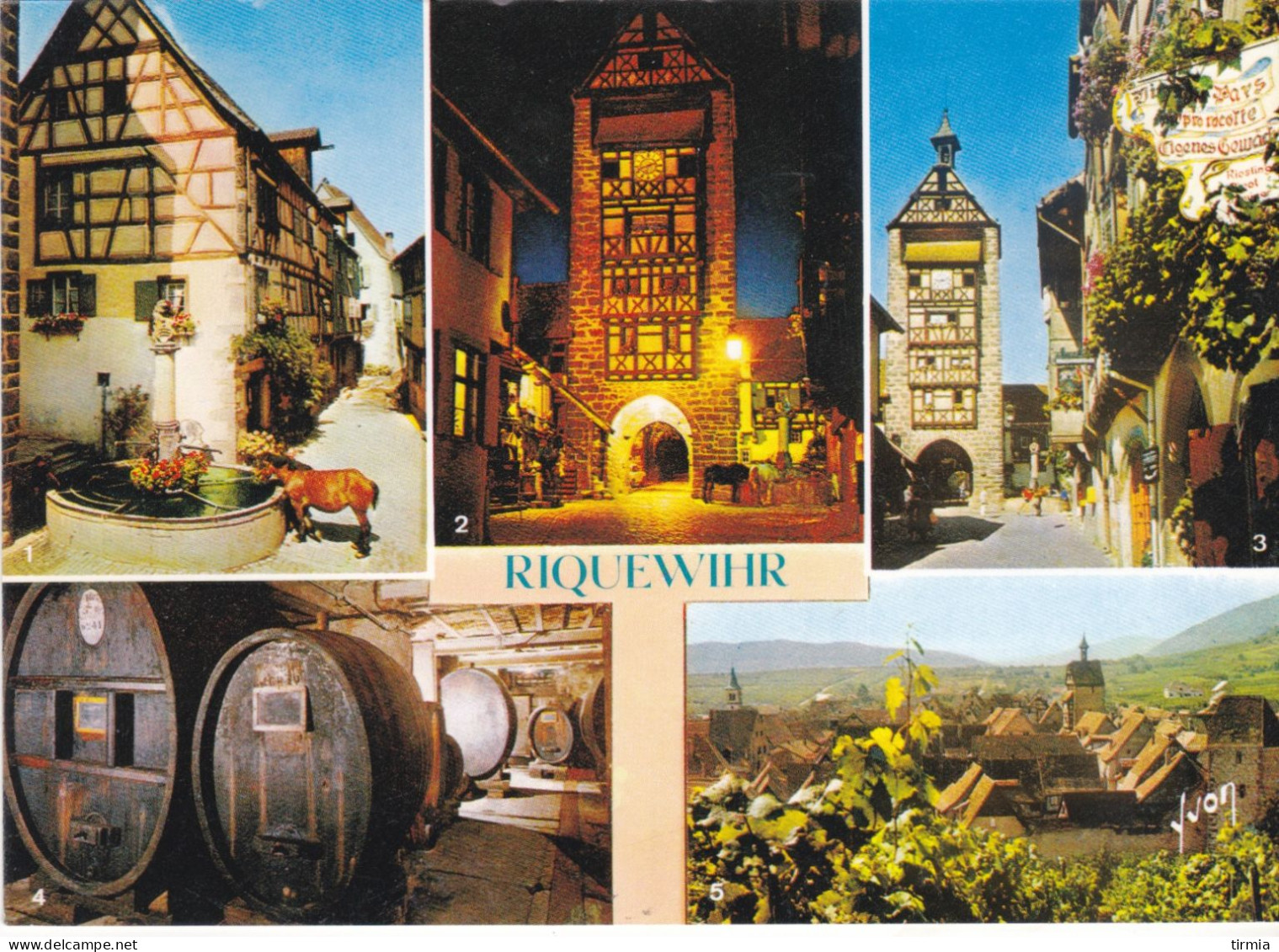 Riquewihr -  (plusieurs Vues ) - Riquewihr