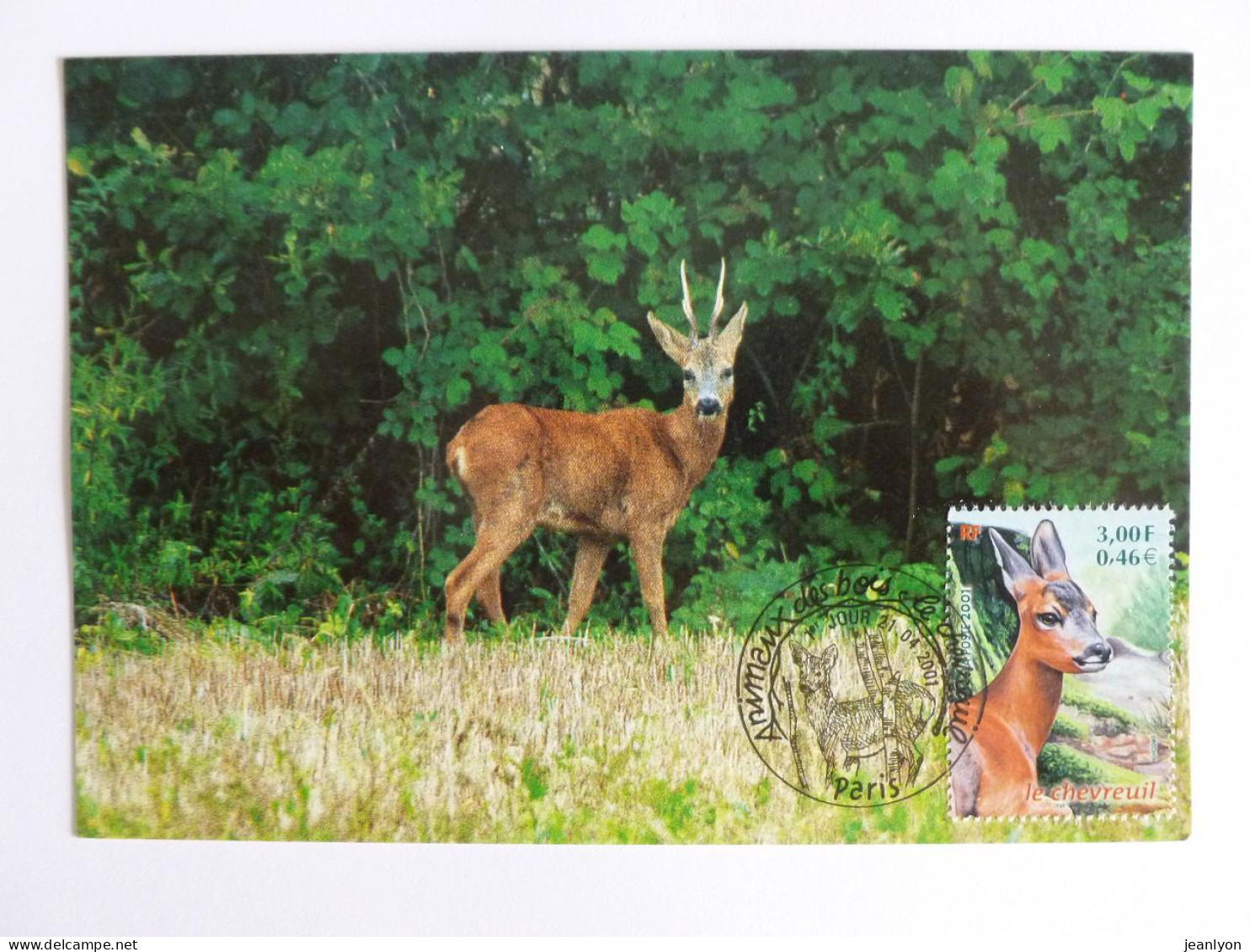 CHEVREUIL - Animaux Des Bois - Carte Philatélique 1er Jour Timbre - Andere & Zonder Classificatie