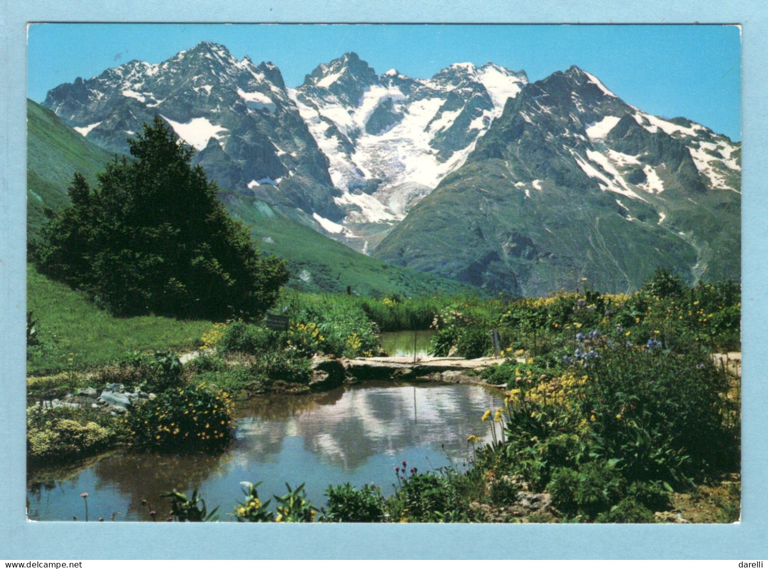 CP 05 - Le Jardin Alpin Au Col Du Lautaret Et Massif De La Meije - Altri & Non Classificati