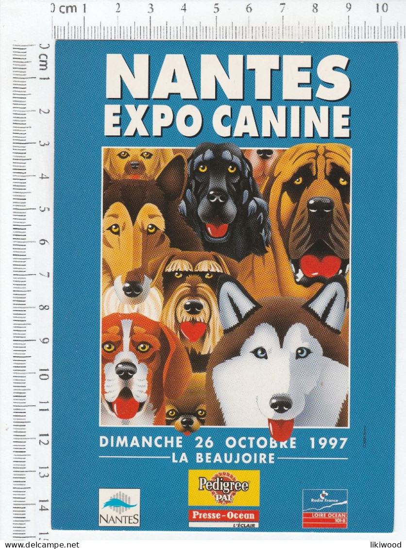 Expo Canine Internationale Nantes - La Beaujoire - Advertising