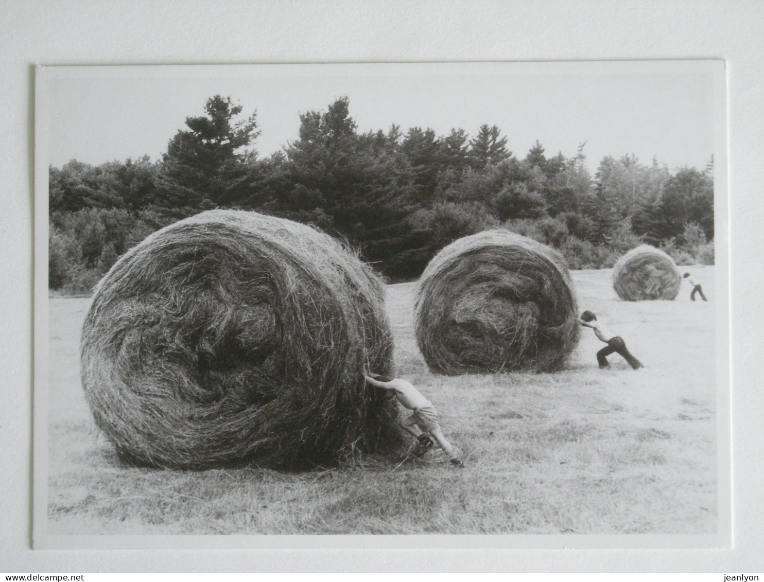 AGRICULTURE - HOMMES Poussant Des Bottes De Foin - Carte Postale Moderne Bettmann / Corbis - Farmers