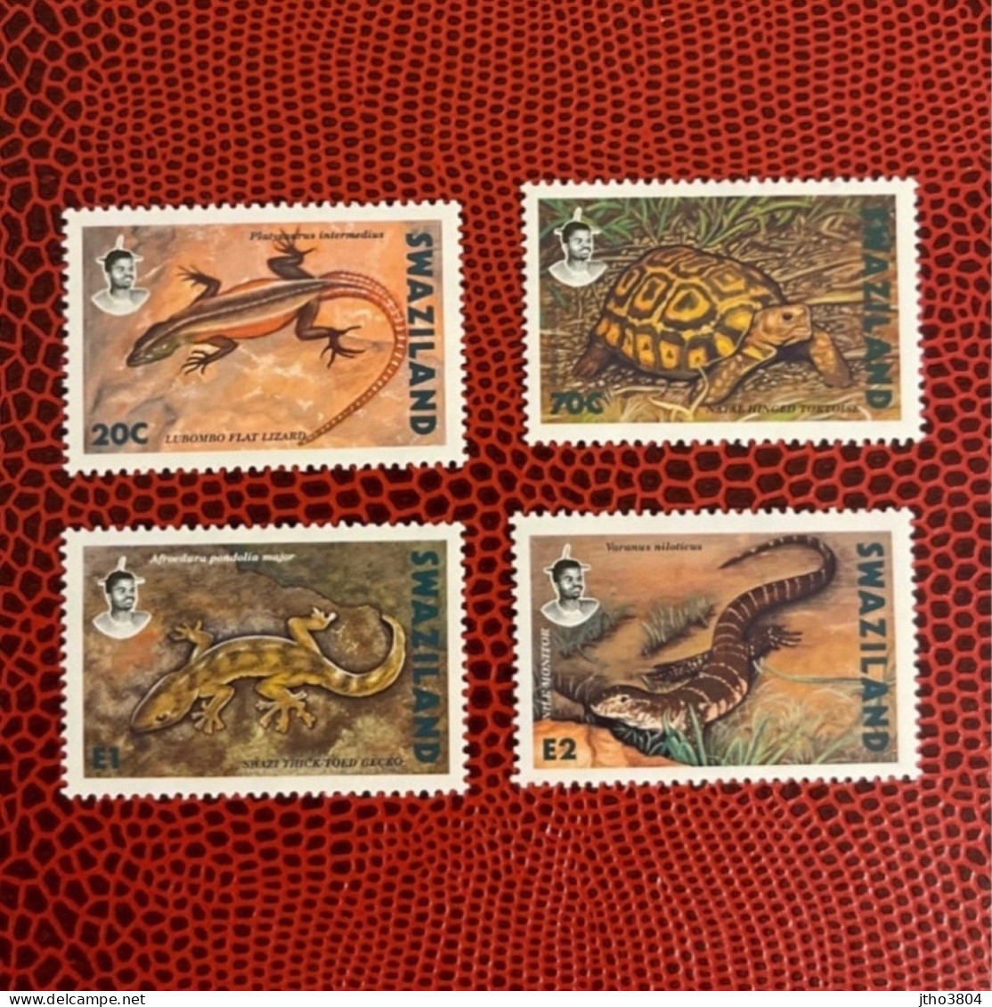 SWAZILAND 1992 4v Neuf MNH ** Mi 602 605 Reptil Tortuga Reptile Turtle Reptil Schildkröte Réptil Tartaruga - Schildpadden