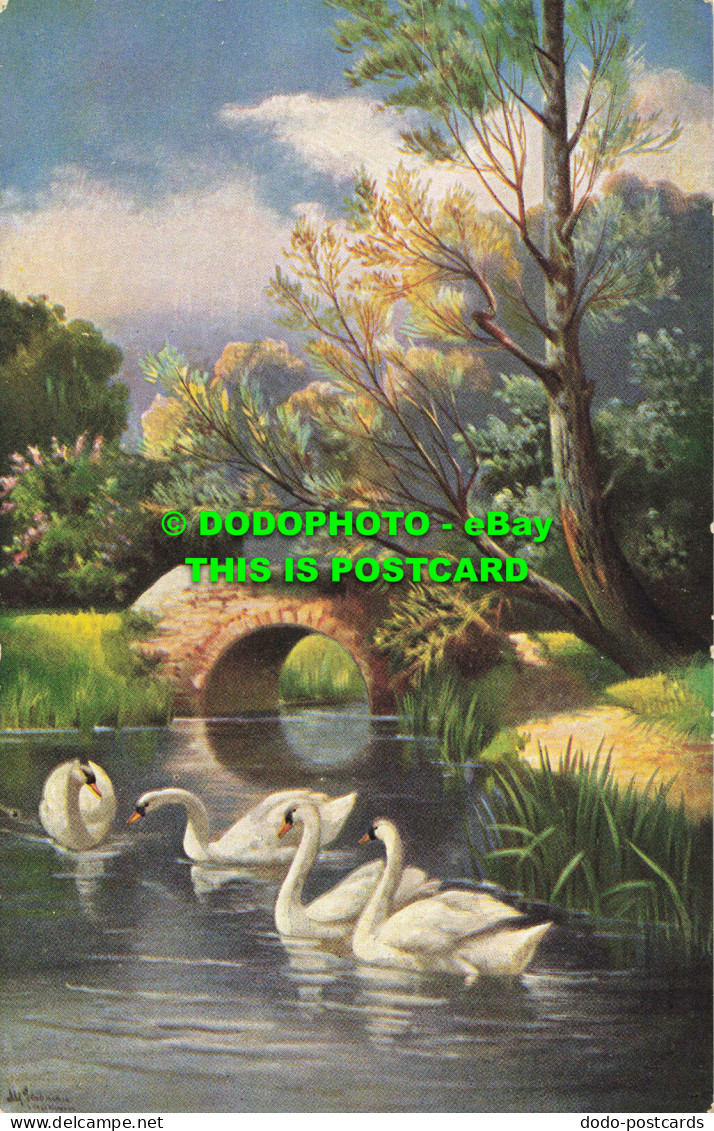 R563173 Swans. Bridge. Painting. Popular Series No. 230 - Mondo