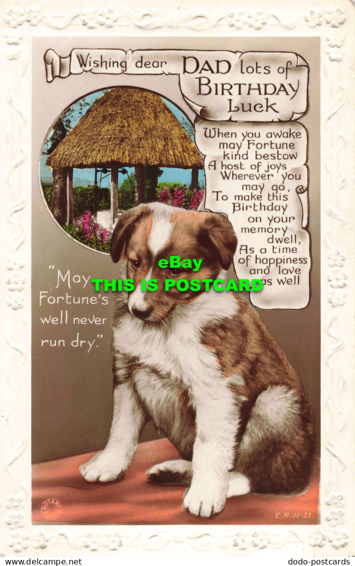 R564007 Wishing Dear Dad Lots Of Birthday Luck. Dog. Rotary Photo - Mondo