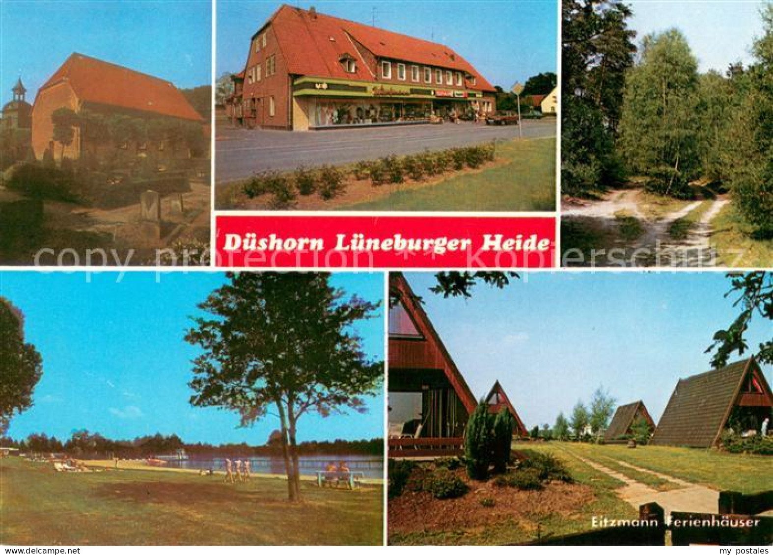 73666735 Dueshorn Lueneburger Heide Geschaeftshaus Seepartie Eitzmann Ferienhaeu - Walsrode